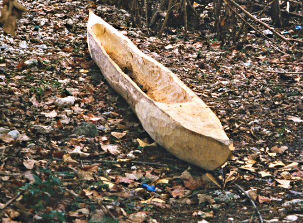 A Boat Made From A Hollowed Tree Trunk