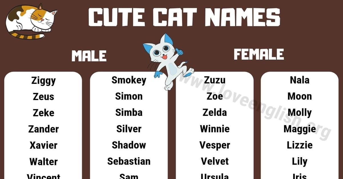 Awesome Boy Names For Cats