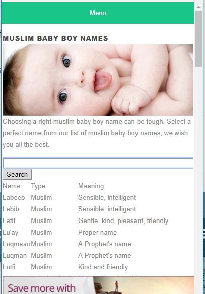 Baby Boy Names With S Islamic