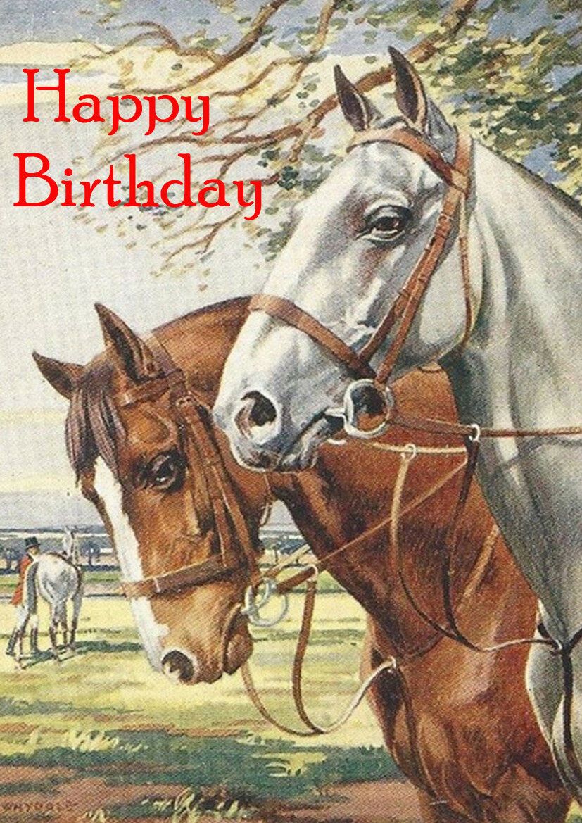 Birthday Horse Clipart