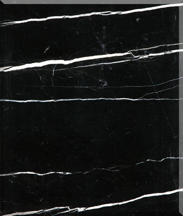 Black Marble Tile With White Veins