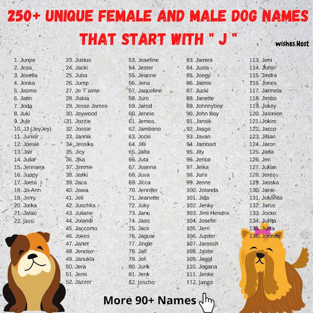 Boy Puppy Names That Start With J