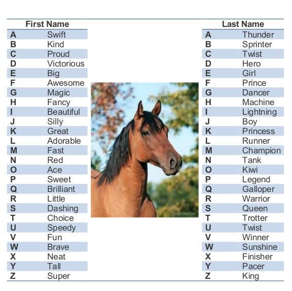 Cool Female Horse Names