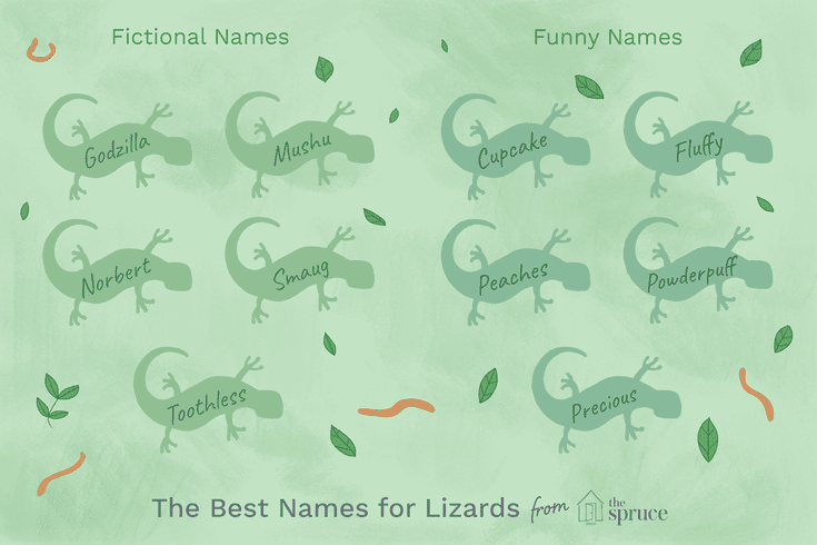 Cute Names For A Pet Lizard