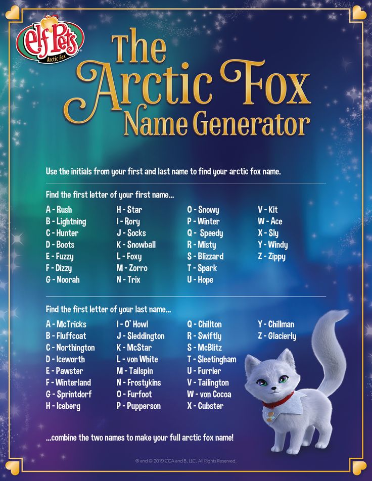 Cute Names For Elf Pets