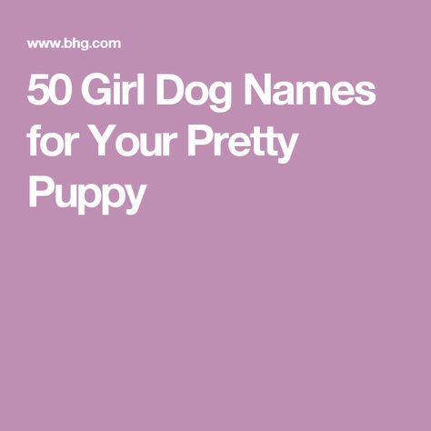 Cute Names For Female Pekingese Puppies