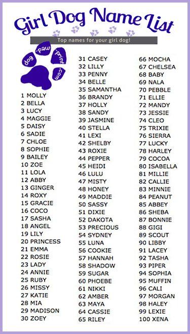 Cute Puppy Names With Meaning