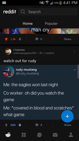 Eagles Memes Reddit