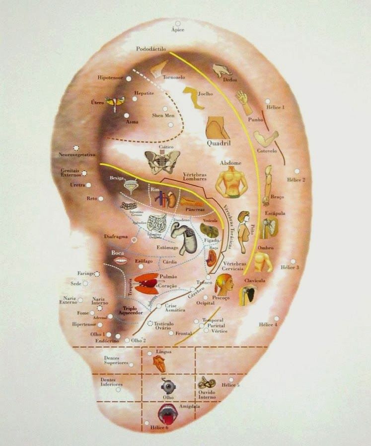 Ear Piercing As Acupuncture Therapy