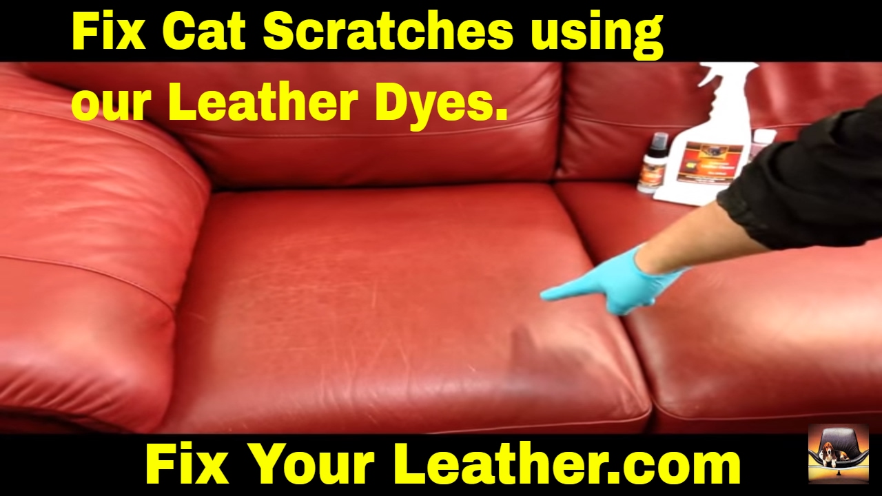 Fix Cat Scratches On Leather Furniture