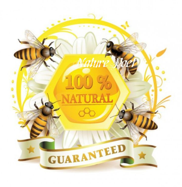 Free Printable Honey Labels