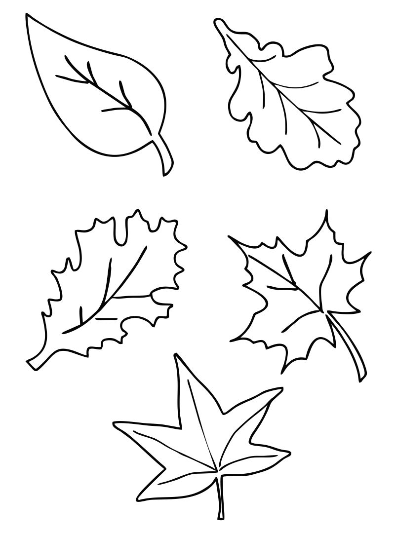 Free Printable Images Of Fall Leaves