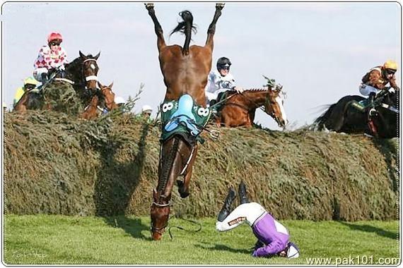 Funny Horse Accidents