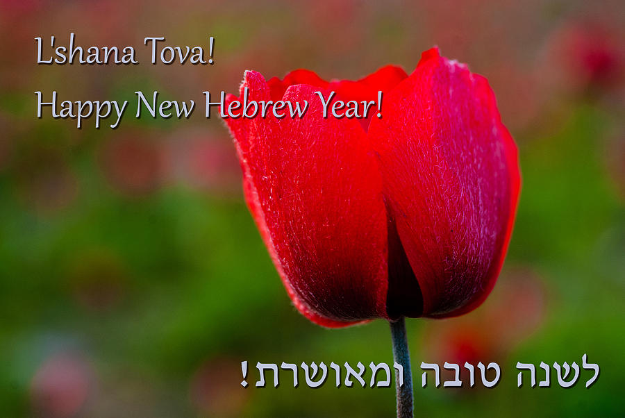 Funny Jewish New Year Quotes