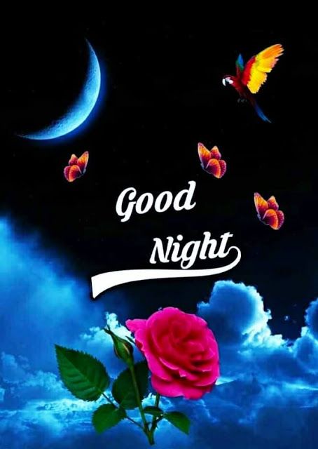 Good Night Message Download