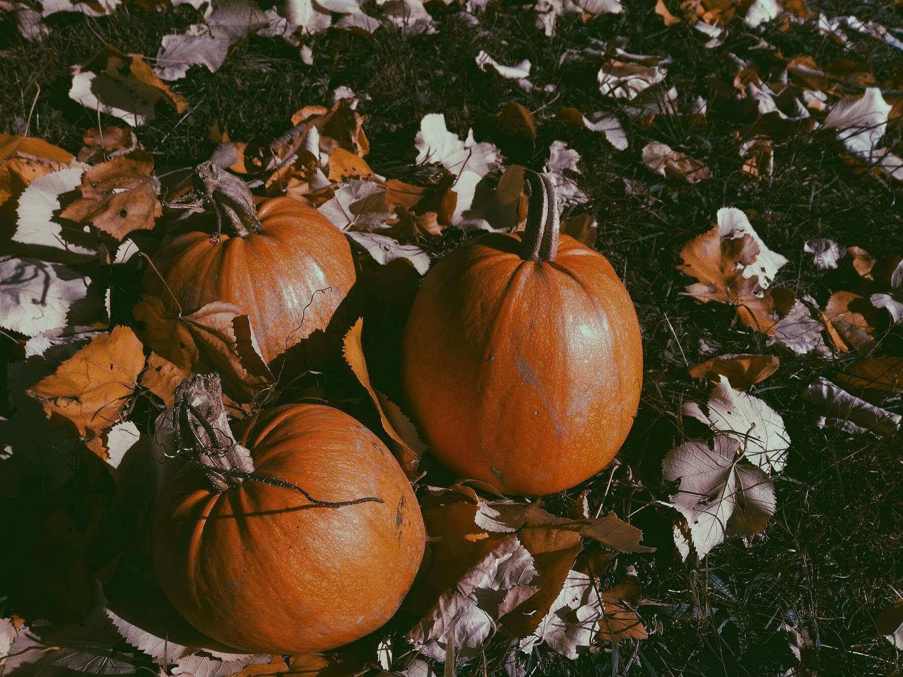 Halloween Aesthetic Pumpkin