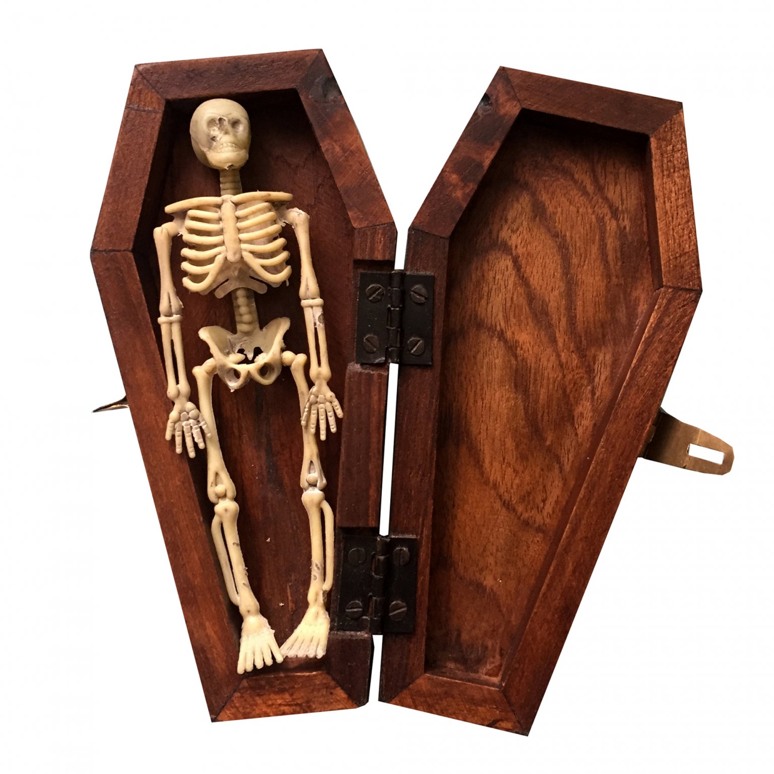 Halloween Coffin Box