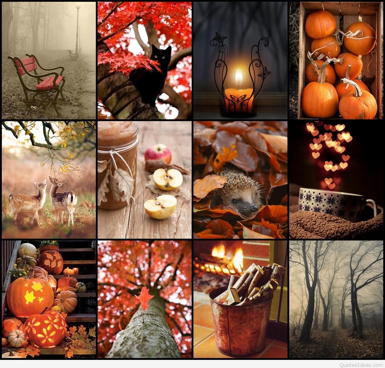 Halloween Collage Wallpaper For Chromebook