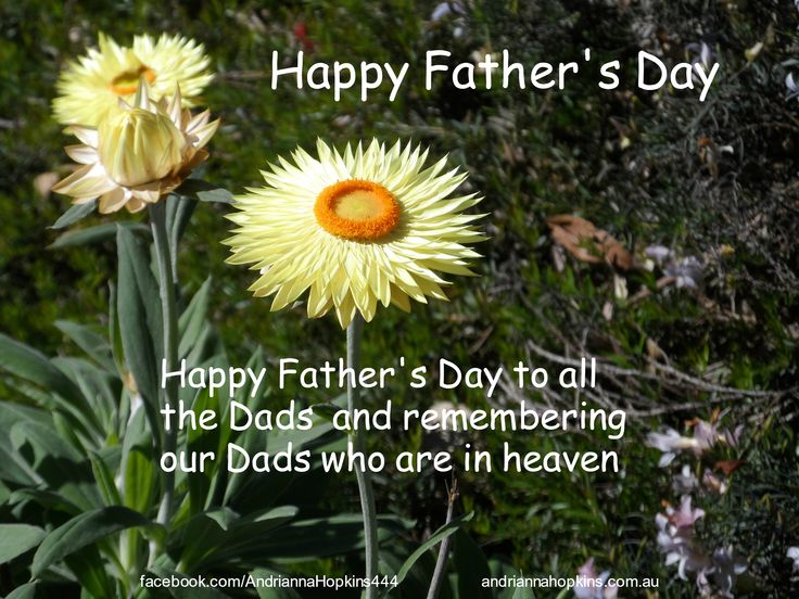 Happy Fathers Day To All The Dads Here And In Heaven