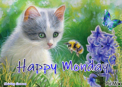 Happy Monday Have A Blessed Week Gif