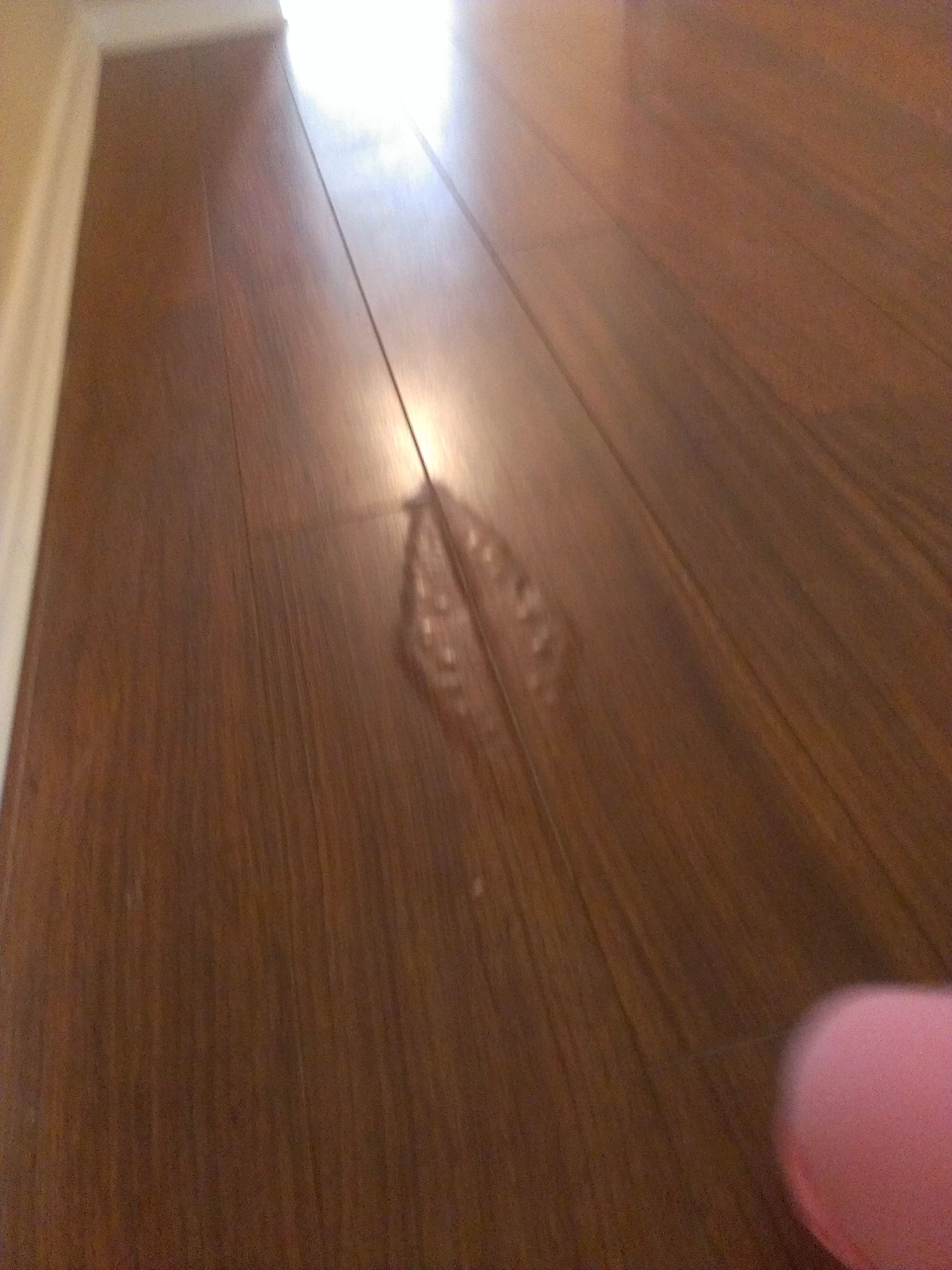 Hardwood Floor Cupping After Water Damage