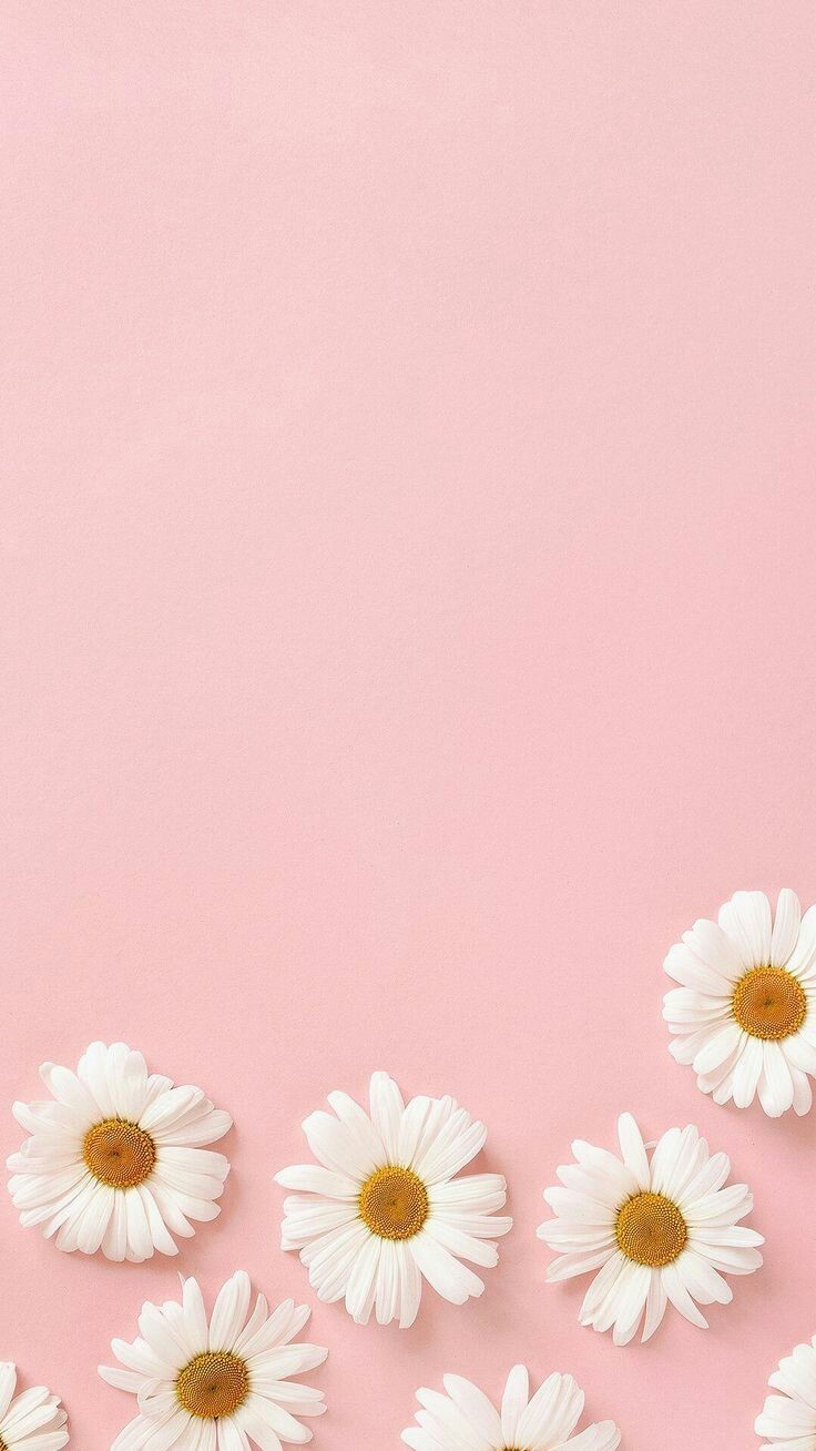 High Quality Pink Aesthetic Wallpaper Desktop Pinterest