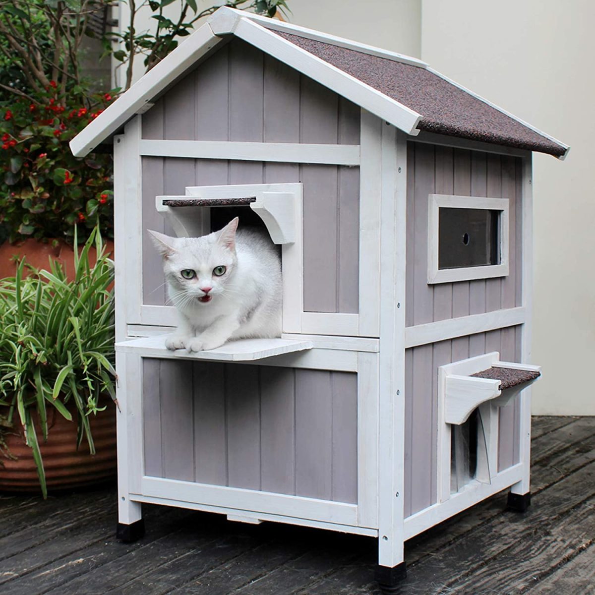 Home For Outdoor Cat