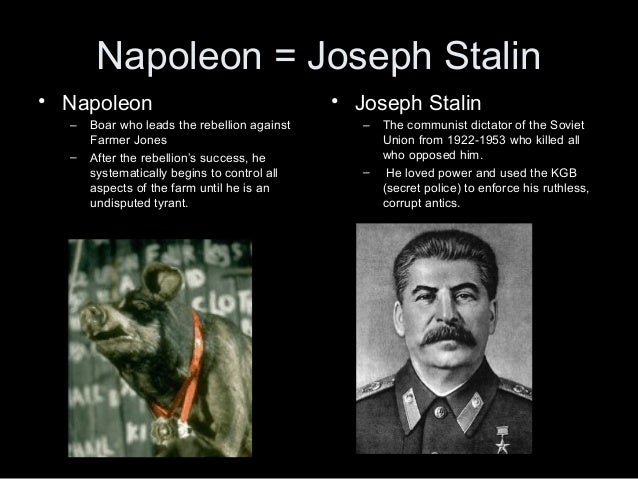 How Does Napoleon Represent Joseph Stalin