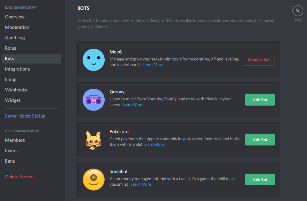 How To Add Bot Into Discord