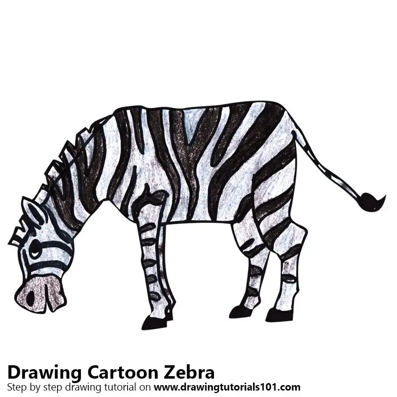 How To Draw A Cartoon Zebra Easy