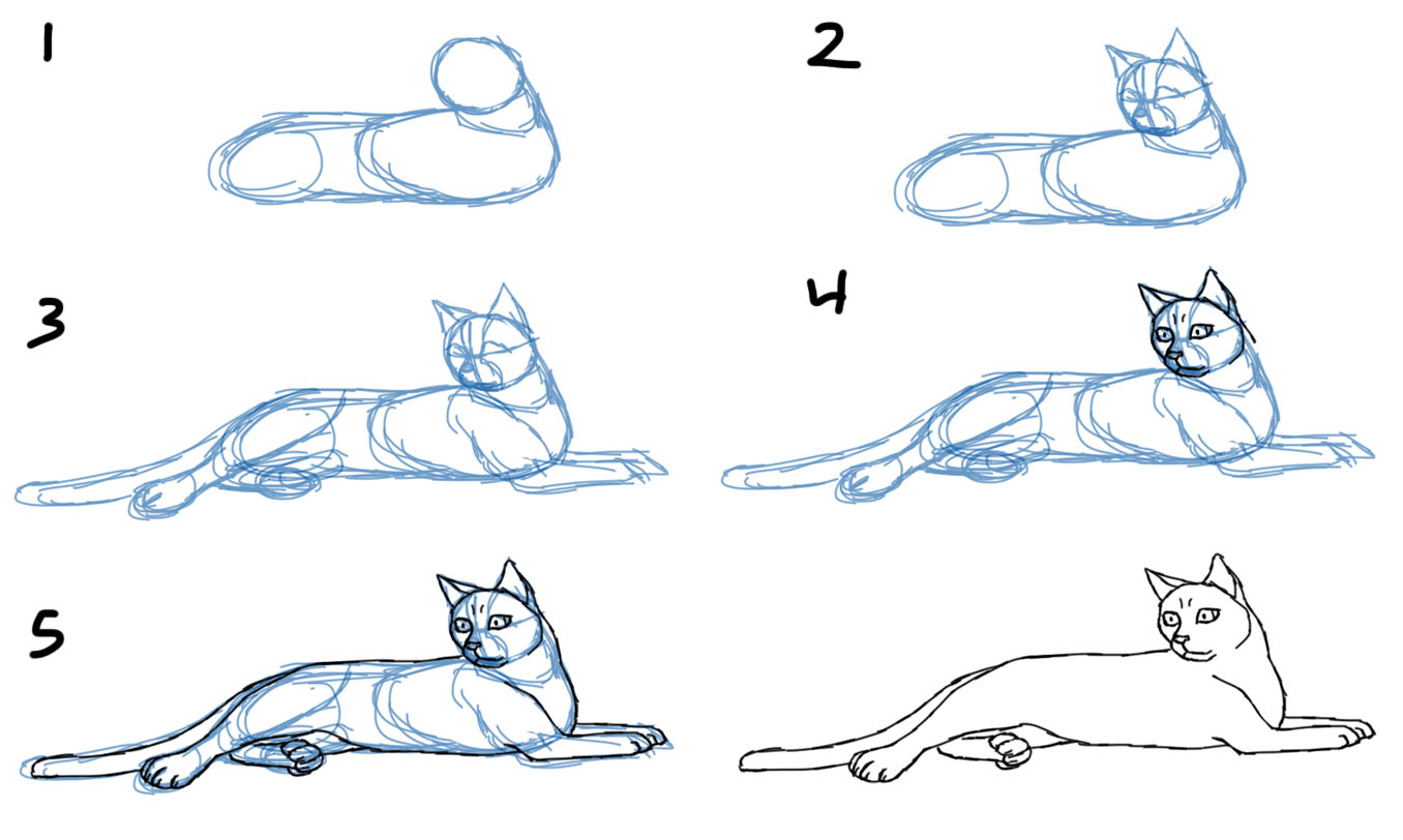 How To Draw A Cat Body Easy