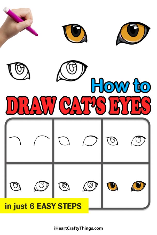How To Draw A Cat Eye Step By Step Easy