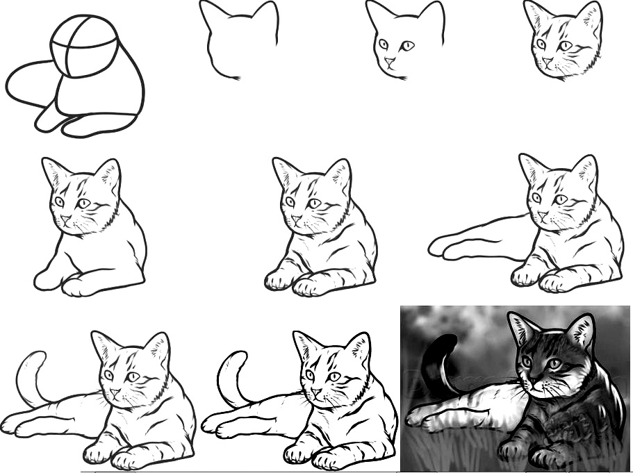 How To Draw A Cat Grade 1