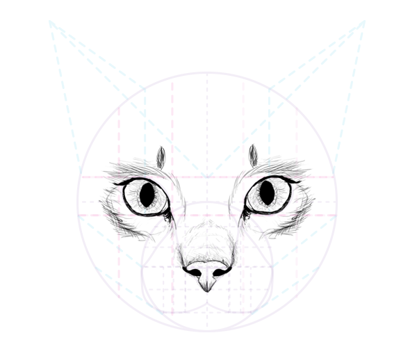 How To Draw A Cat Nose On Your Face