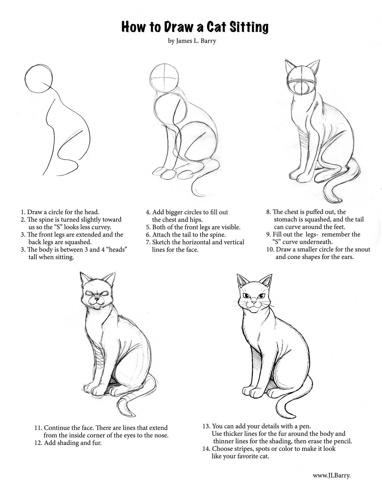 How To Draw A Cat Outline