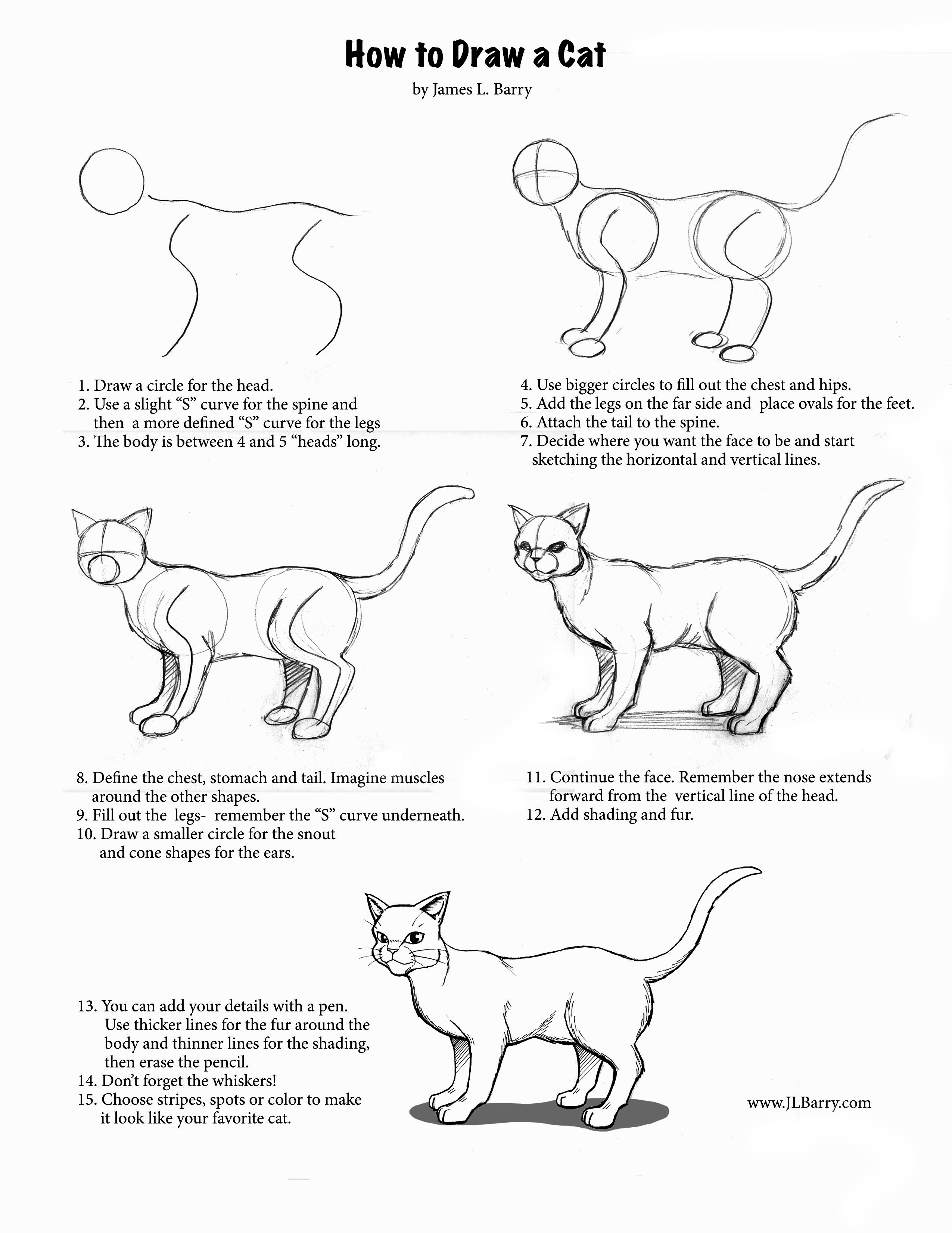 How To Draw A Cat Quick