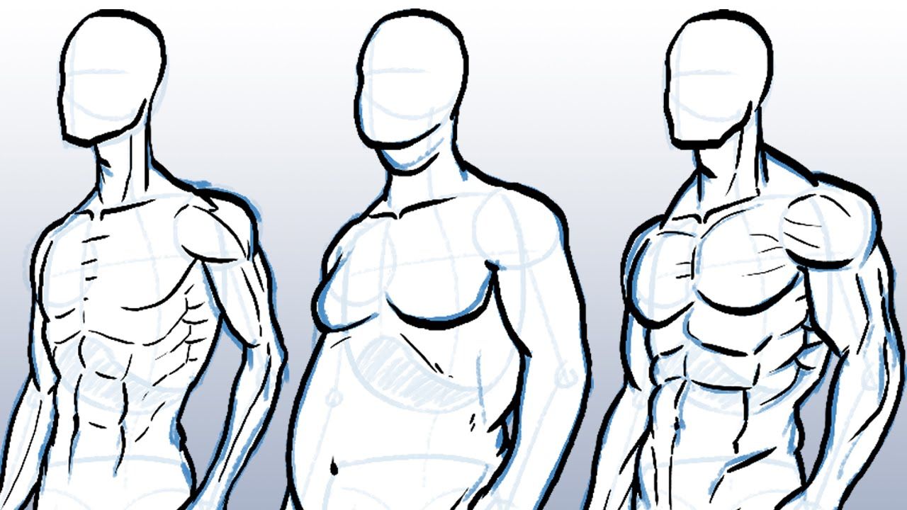 How To Draw A Muscular Body Anime