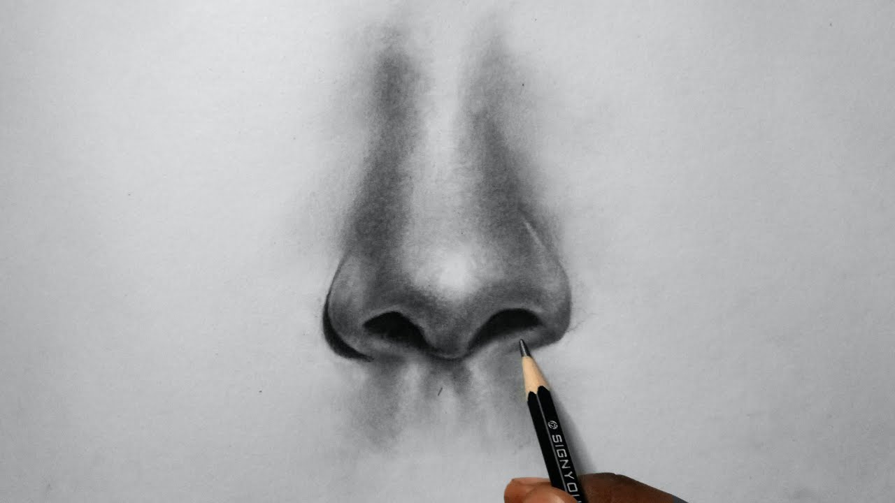 How To Draw A Realistic Nose Easy