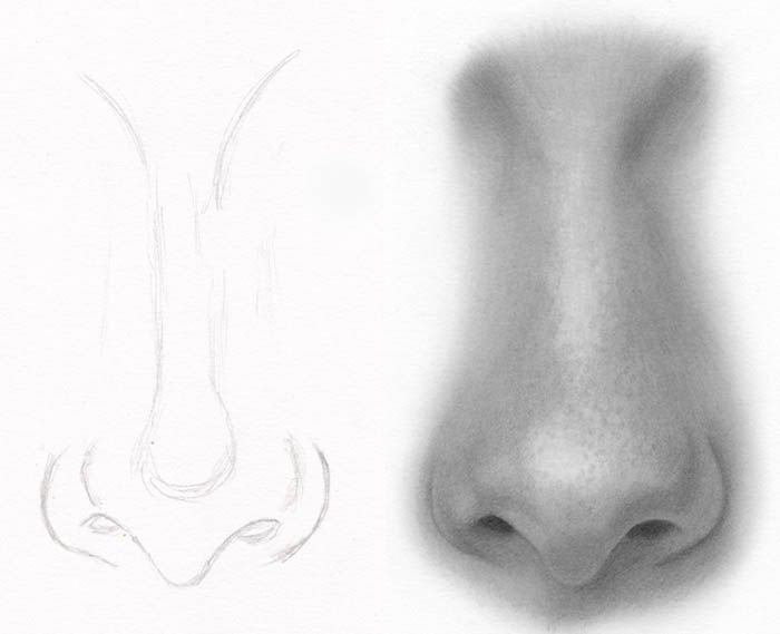 How To Draw A Realistic Nose Step By Step