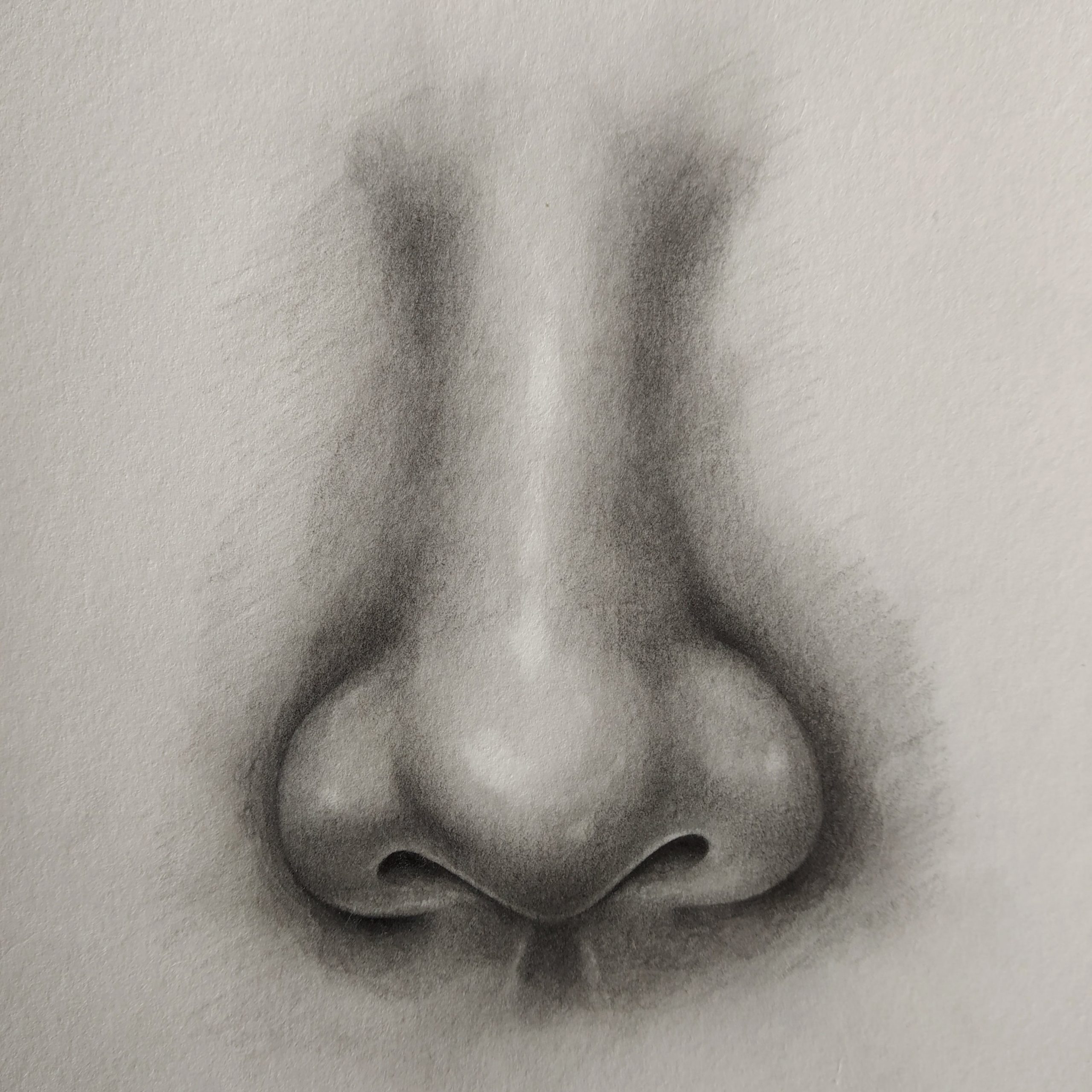 How To Draw A Realistic Nose With Pen