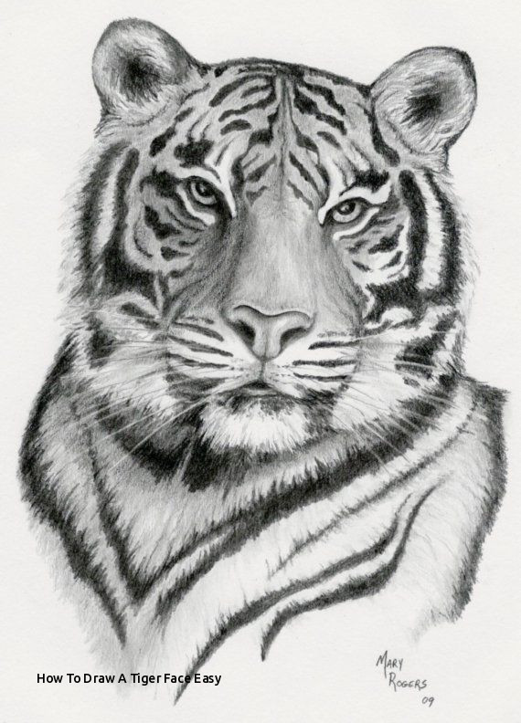 How To Draw A Realistic Tiger Face Step By Step