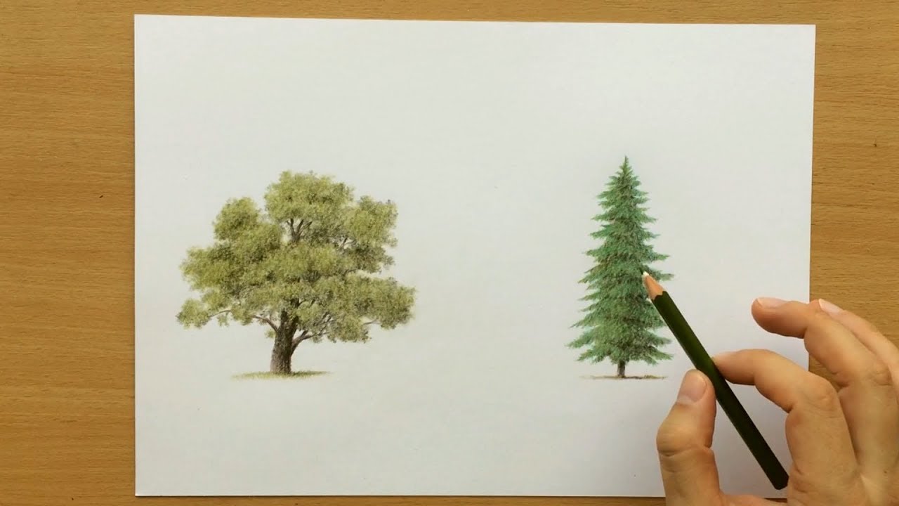 How To Draw A Realistic Tree Digital Art