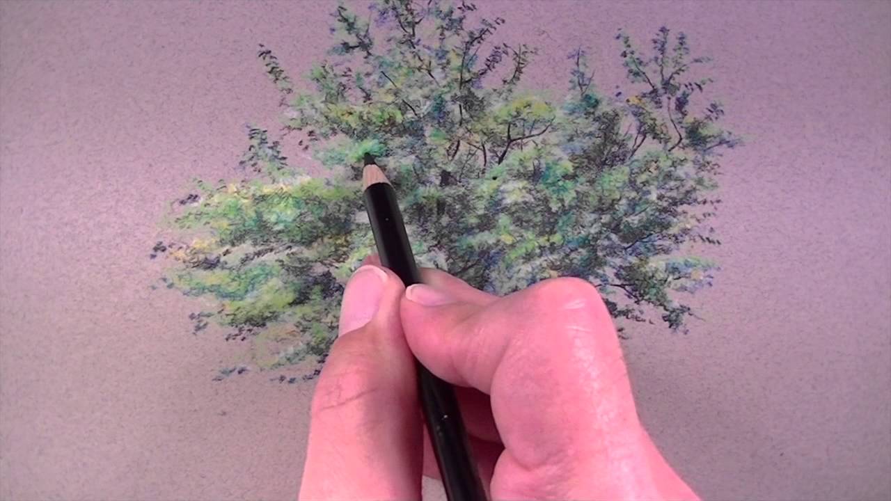 How To Draw A Realistic Tree With Colored Pencils