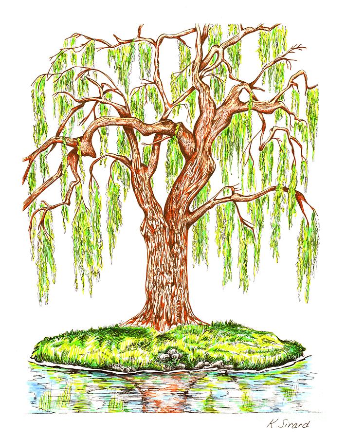 How To Draw A Realistic Weeping Willow Tree