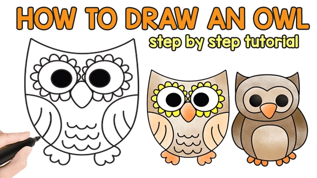 How To Draw A Really Good Owl