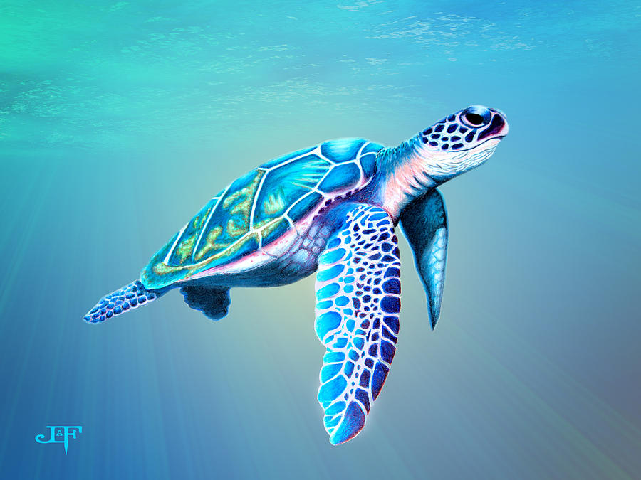 How To Draw A Sea Turtle Underwater