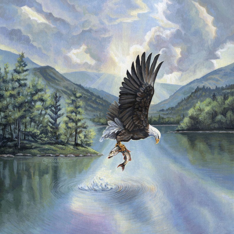 How To Draw An Eagle Catching A Fish