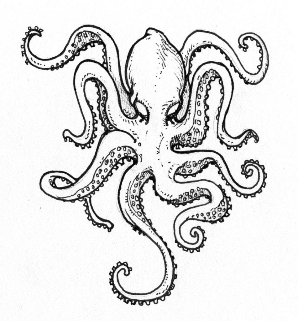 How To Draw Cool Octopus