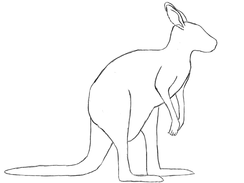 How To Draw Kangaroo Feet