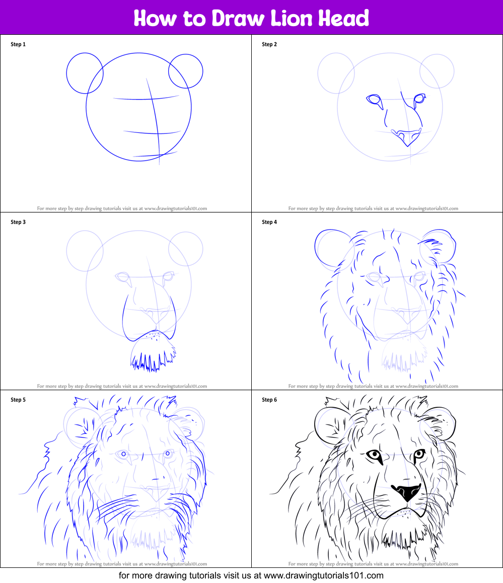 How To Draw Lion Head Step By Step